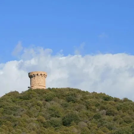 Nuit Calme Sur Domaine * Calcatoggio (Corsica)