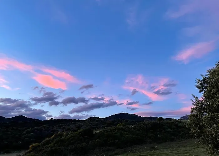 Appartement Nuit Calme Sur Domaine Calcatoggio (Corsica)