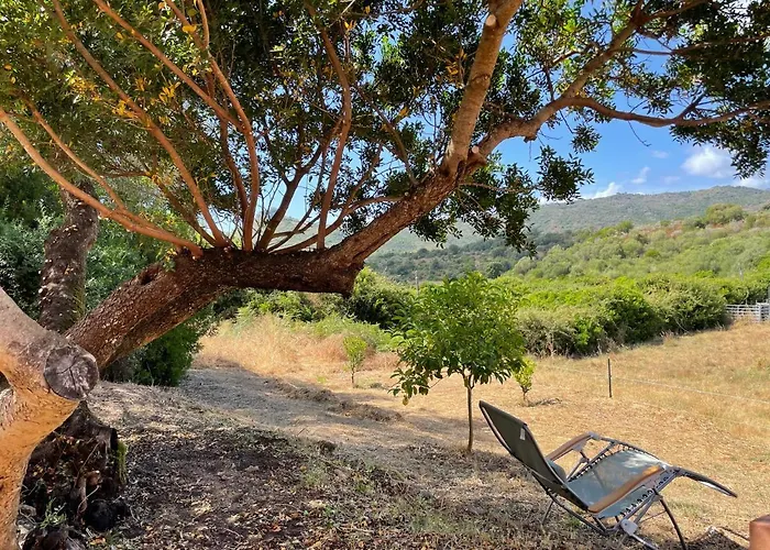Appartement Nuit Calme Sur Domaine