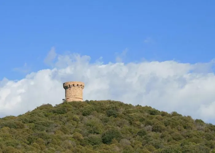 Nuit Calme Sur Domaine * Calcatoggio (Corsica)