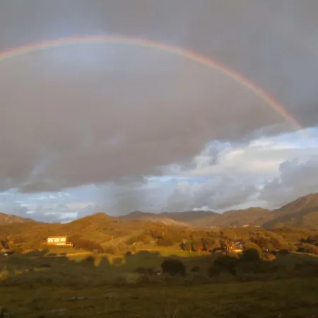 Lägenhet Nuit Calme Sur Domaine Calcatoggio (Corsica)