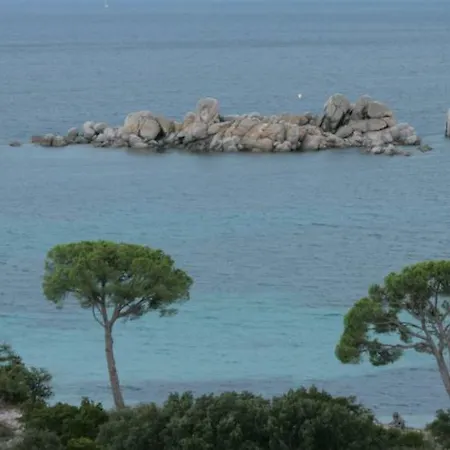 Nuit Calme Sur Domaine Calcatoggio (Corsica)