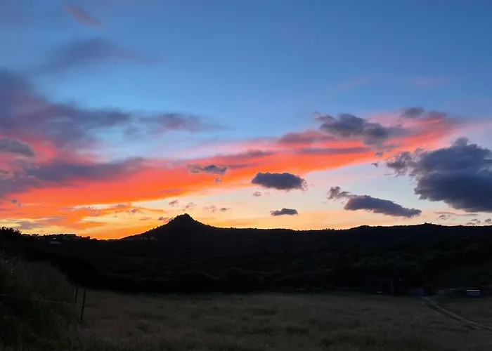 Nuit Calme Sur Domaine Calcatoggio (Corsica)