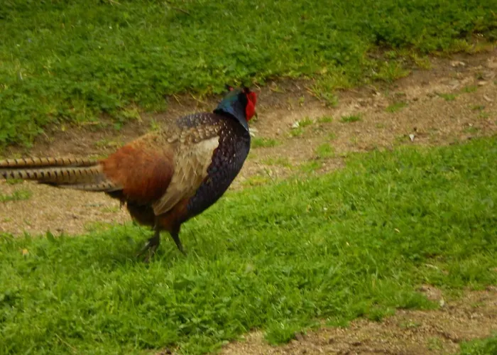 Nuit Calme Sur Domaine Appartement *