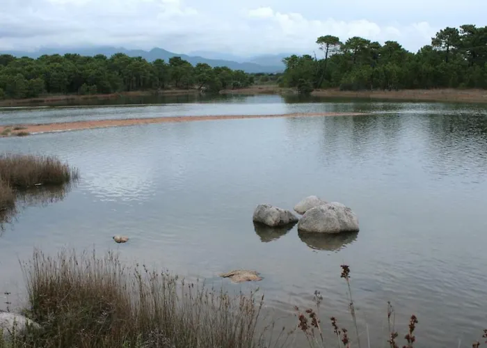 Nuit Calme Sur Domaine * Calcatoggio (Corsica)