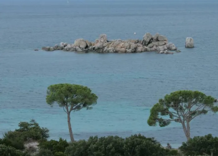 Nuit Calme Sur Domaine Calcatoggio (Corsica)